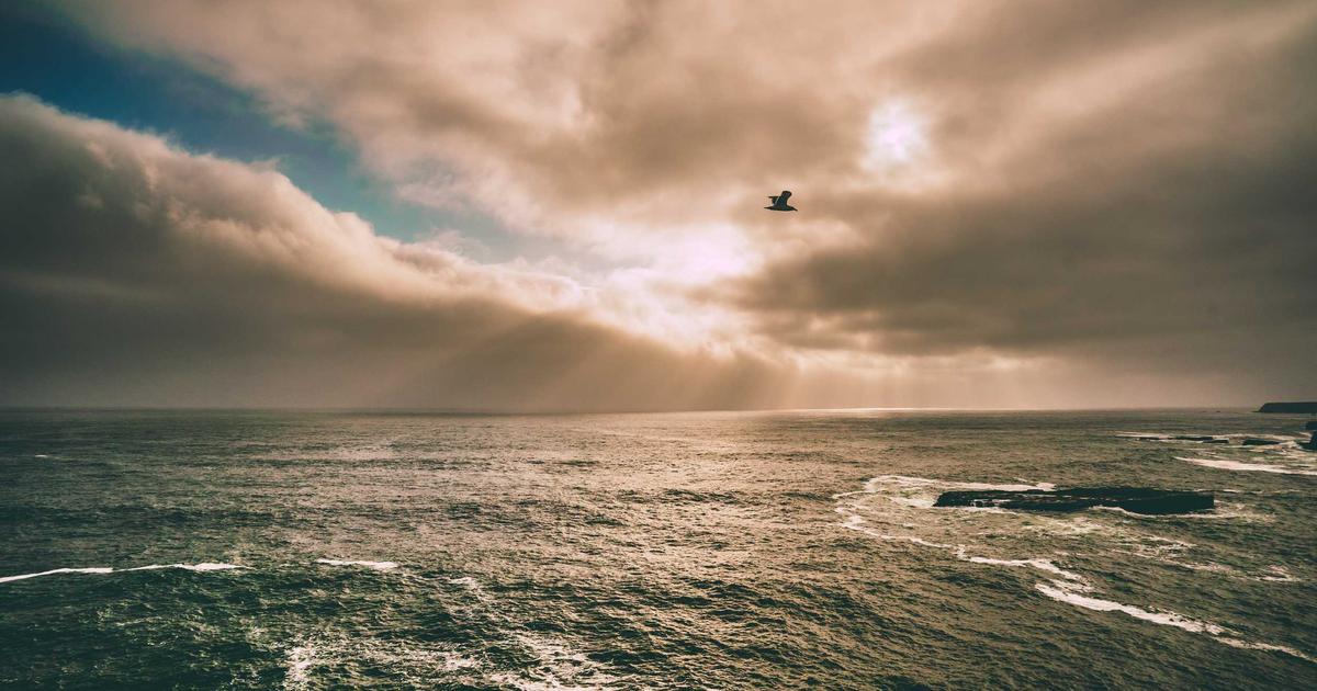 折板屋根のボルト腐食が雨漏りを招く仕組みと早期対策のポイント