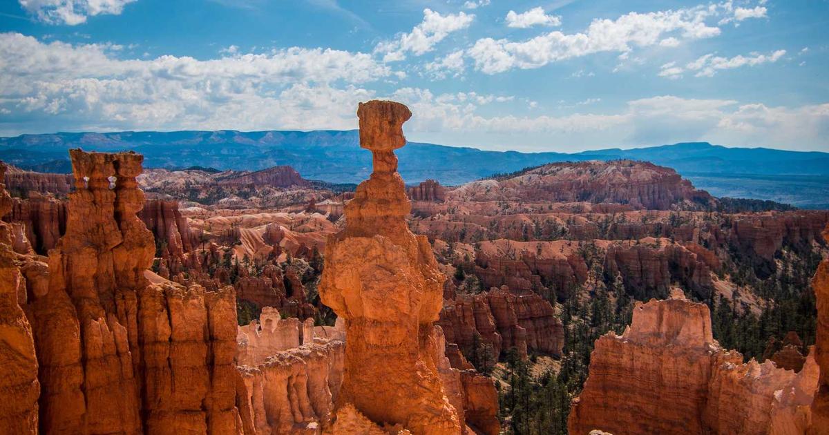 工場の遮熱塗装で夏の空調コストを最大30%削減する方法
