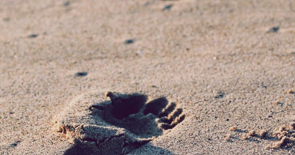 管理物件オーナーが見落としがちなメンテナンス5選