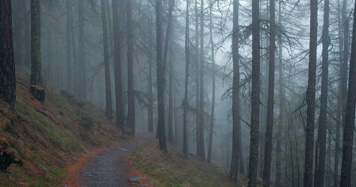 新築引き渡し後の屋根・外壁トラブル事例と建元が取るべき予防策