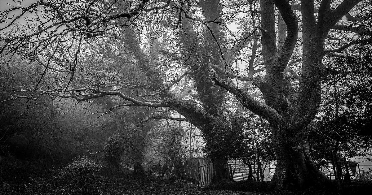 職人不足時代の元請け戦略｜多能工下請け活用で工期を守る方法