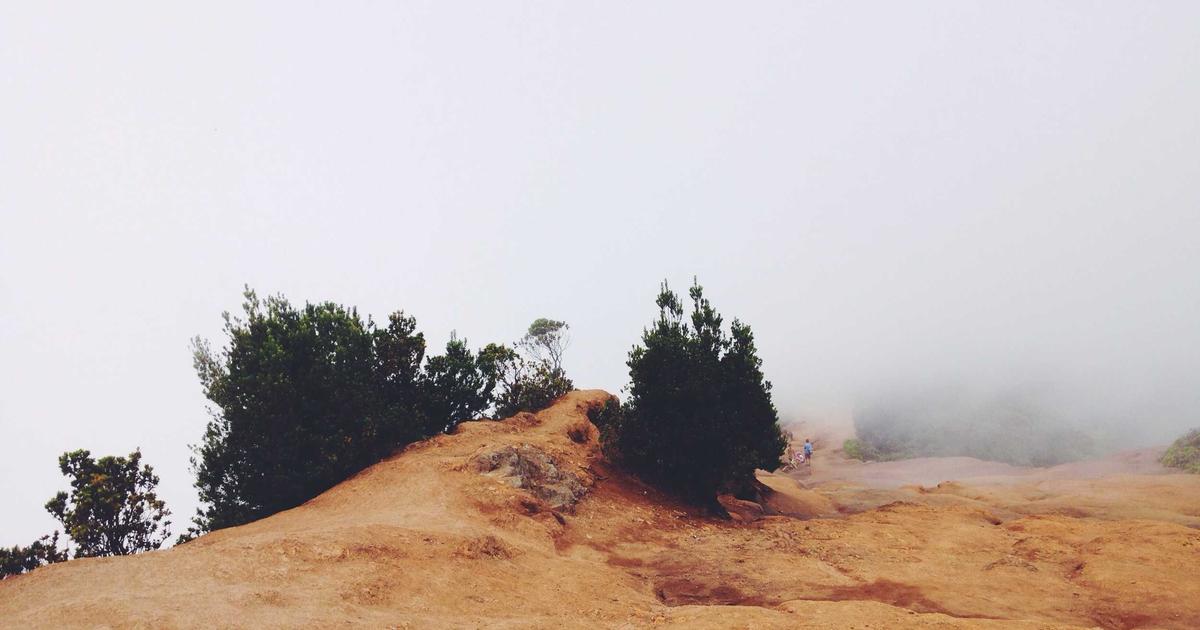 賃貸物件のシーリング劣化が招く雨漏り｜打ち替えの時期と費用