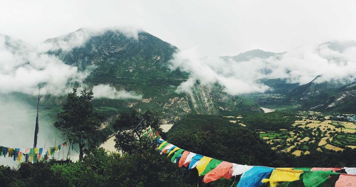 工場屋根の採光板（明かり取り）劣化が招く雨漏り｜交換時期と対策
