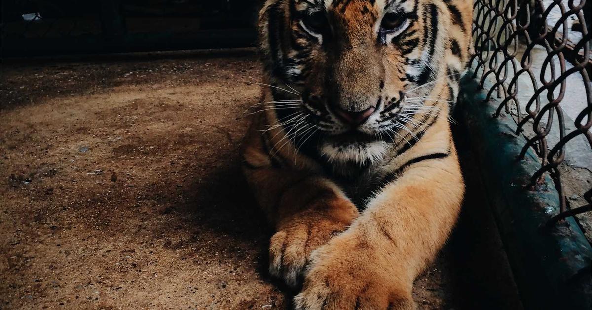 賃貸マンションのバルコニー防水｜階下漏水リスクと改修サイクル